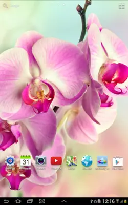 Orchids Live Wallpaper android App screenshot 0