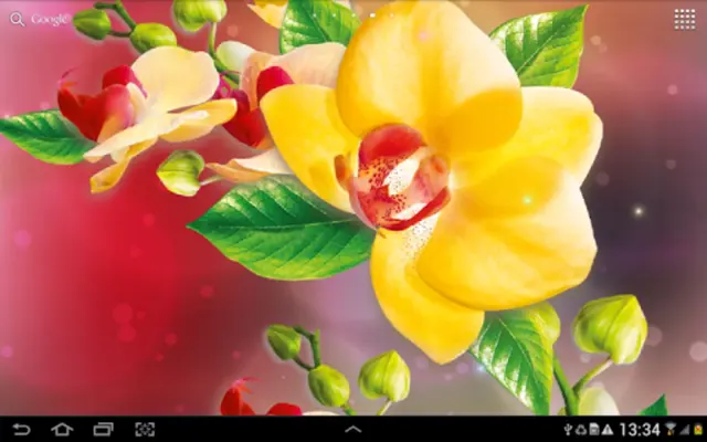 Orchids Live Wallpaper android App screenshot 3