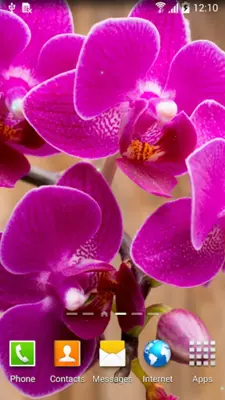 Orchids Live Wallpaper android App screenshot 7