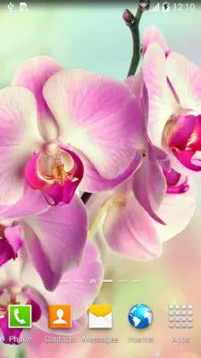 Orchids Live Wallpaper android App screenshot 8